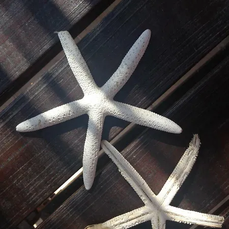 Lumia Luna Σπίτι διακοπών