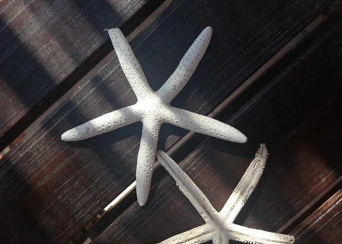 Lumia Luna Vakantiehuis